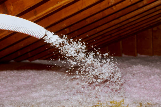 Best Local Insulation Services  in White Knoll, SC