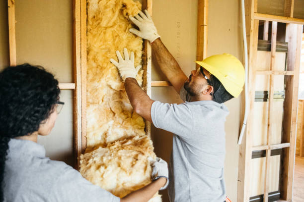 Best Professional Insulation Contractor  in White Knoll, SC