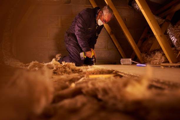 Best Cellulose Insulation  in White Knoll, SC