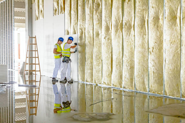 Best Affordable Insulation Services  in White Knoll, SC